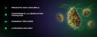 Site E-commerce de CBD