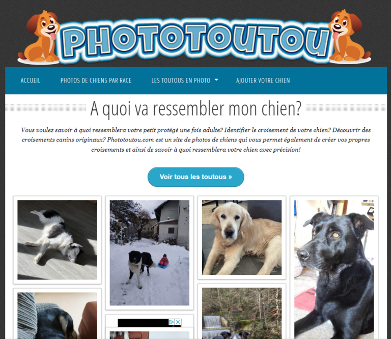 PhotoTouTou.com - Site de Partage de Photos de Chiens à Vendre