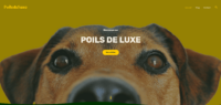 PoilsDeLuxe.com - Site de blog pour Animaux - Chien et chats
