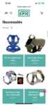 TendanceEpic.com - Boutique Shopify “Tendance Epic” – Accessoires Chiens &amp; Chats – SEO puissant + Ventes testées