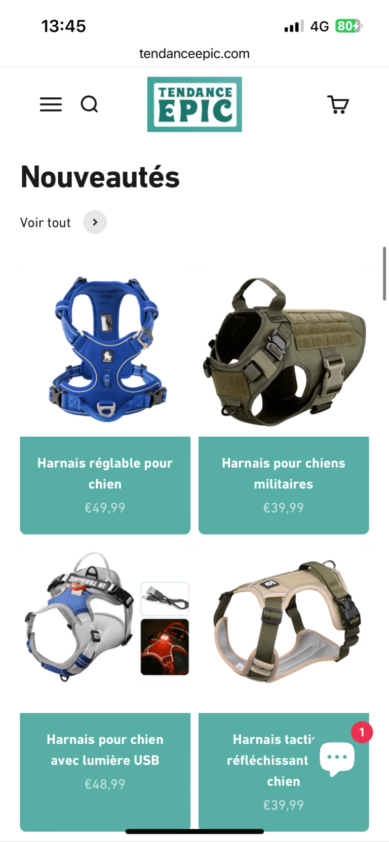 TendanceEpic.com - Boutique Shopify “Tendance Epic” – Accessoires Chiens & Chats – SEO puissant + Ventes testées