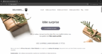 Idee-Surprise.fr