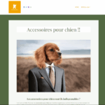 PetitChien.es - NDD + Site / blog de 10 pages.