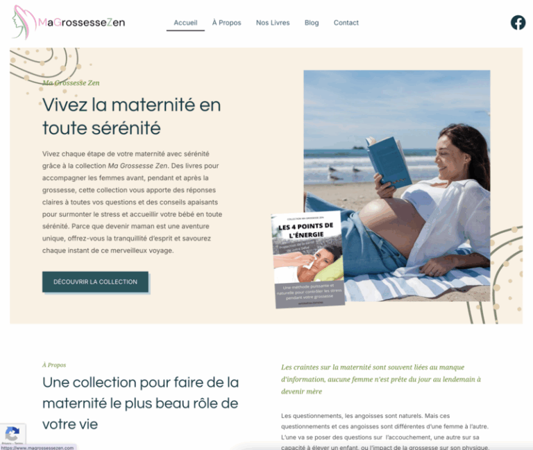MaGrossesseZen.com - Site sur la parentalité zen, un potentiel de développement exceptionnel, une niche engageante et renouvelée en permanence