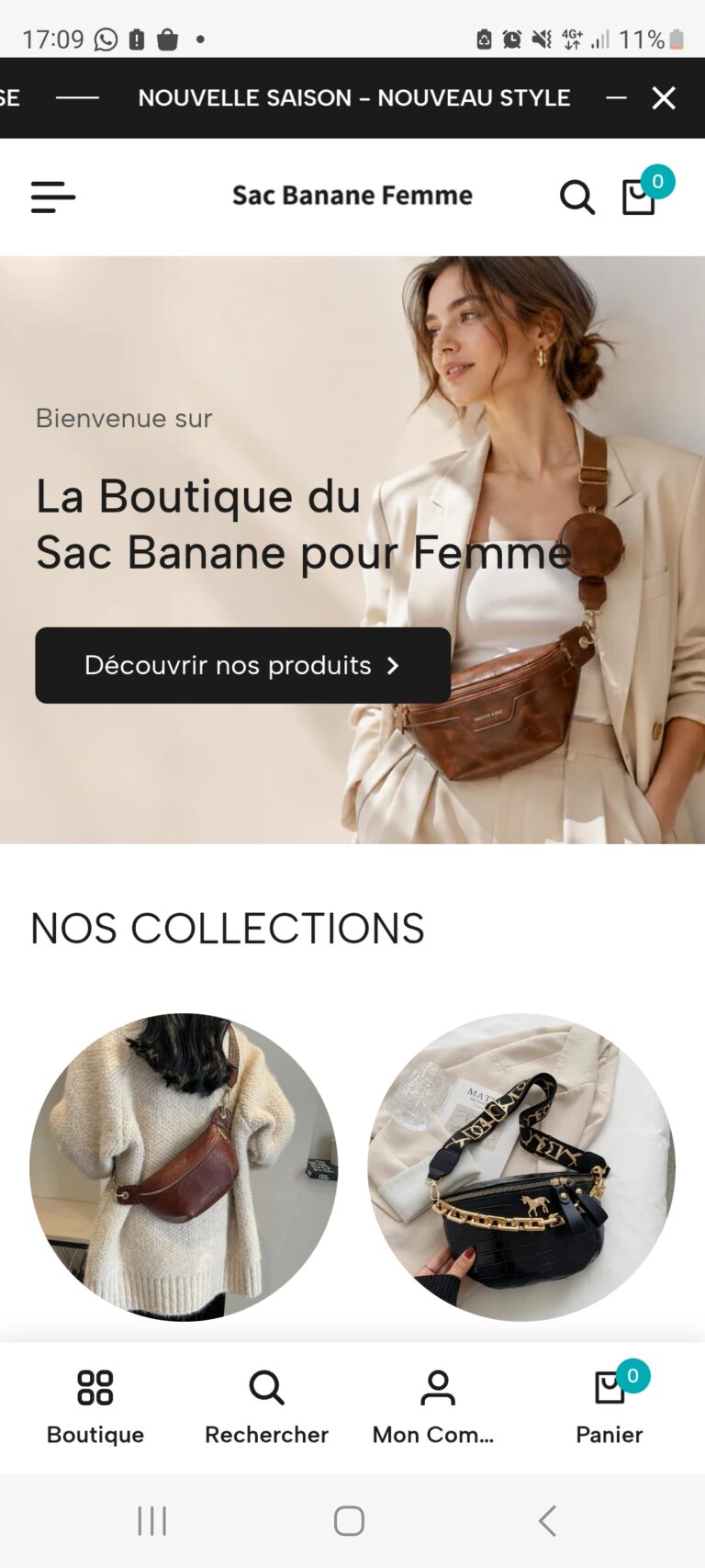 *****.com - Boutique de sacs banane en dropshipping