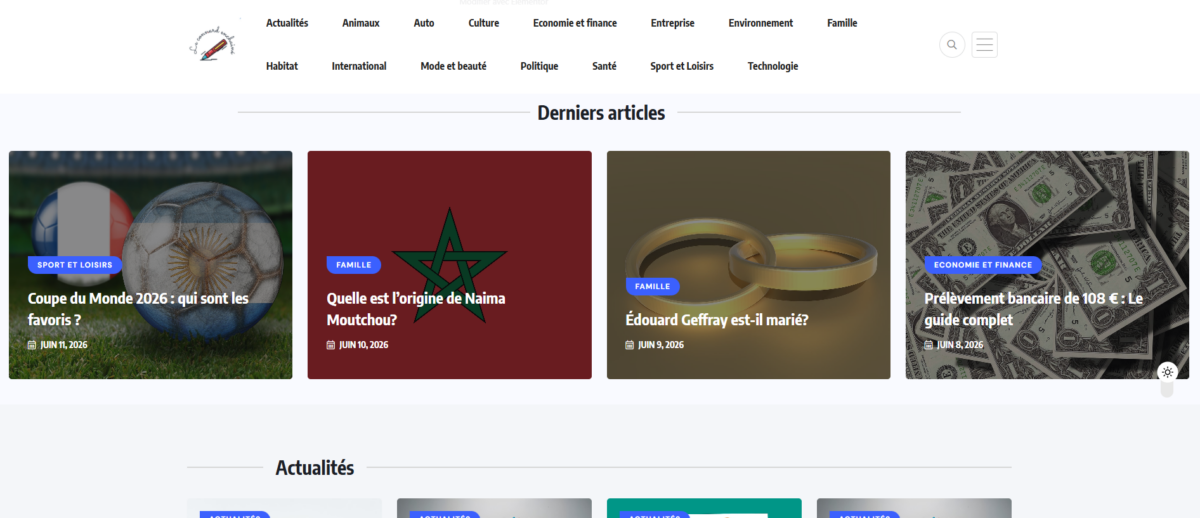 LeConnardEnChaine.fr - Site de vente de lien - 4000 euros de CA mensuel