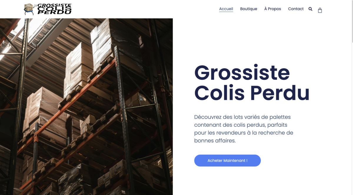 GrossisteColisPerdu.com - Site de dropshiping grossiste Colis perdu