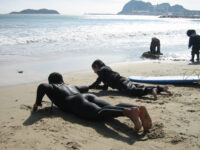 Ogliss.com - Site éditorial sports de glisse nautique (surf, paddle, foil, wing, kite) — positions Google acquises, potentiel à activer