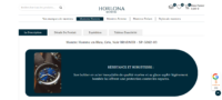 Horlona-Montre.com - Site de montre international en dropshipping photo 3