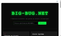 Big-Bug.net - Site de contenu Tech / Diagnostics informatiques - profil SEO etabli