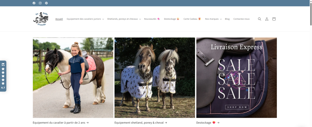 En-Selle-Prunelle.fr - e-commerce de matériel d'équitation - 2500€ CA mensuel