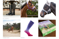 En-Selle-Prunelle.fr - e-commerce de matériel d'équitation - 2500€ CA mensuel photo 2