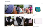 En-Selle-Prunelle.fr - e-commerce de matériel d'équitation - 2500€ CA mensuel photo 4